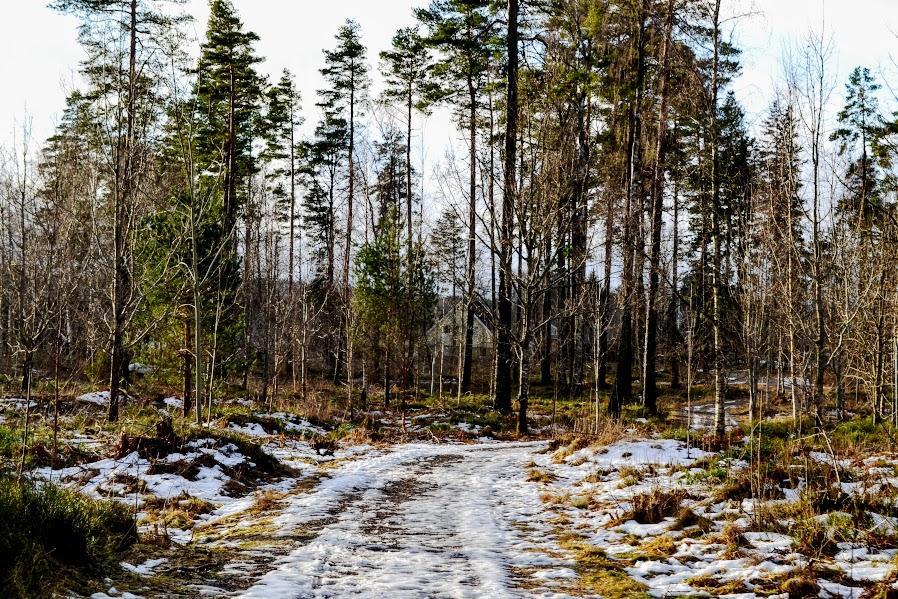 Pensjonat Marston Hill Mullsjö Zewnętrze zdjęcie